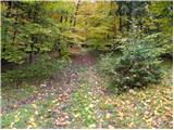 Spodnje Stranice (graves of hundred hostages) - Stolpnik